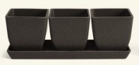 Ecoforms Quadra Trio.jpg